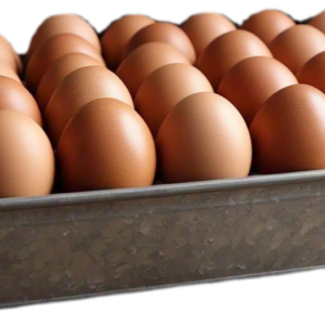 Eggs: Unwashed Large Free Range Organic (30's)