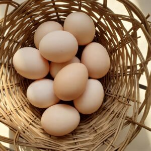 Eggs: Unwashed Jumbo FR Organic (30's)